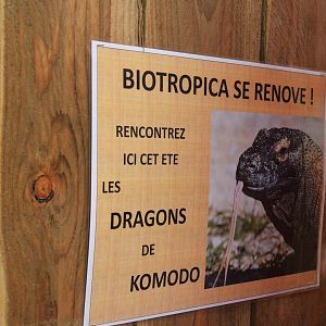Komodo Dragon Enclosure Construction at Biotropica, 16/06/18