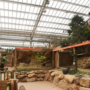 Iguana, Fruit Bat, Armadillo and Macaw Enclosures at Biotropica, 16/06/18