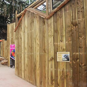 Komodo Dragon Enclosure Construction at Biotropica, 16/06/18