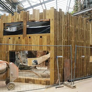 Komodo Dragon Enclosure Construction at Biotropica, 16/06/18
