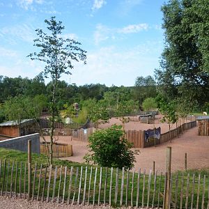 General View of Farm Area at Biotropica, 16/06/18