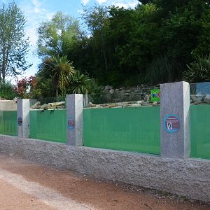Humboldt Penguin and Rosybill Pochard Enclosure at Biotropica, 16/06/18