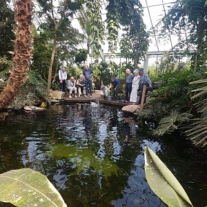 Fish and turtle feeding