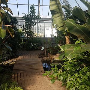 Small bridge in Butterfly-walk-through