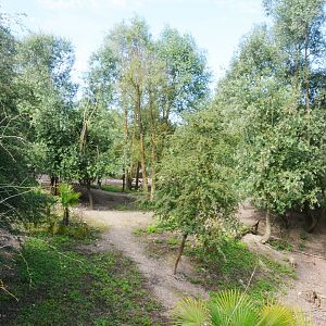 Red Kangaroo and Agile Wallaby Enclosure at Biotropica, 16/06/18