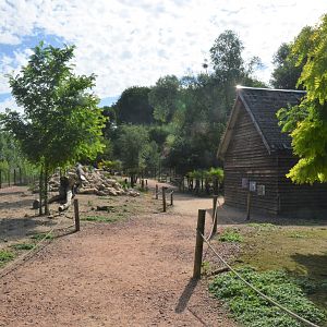 Australian Walkthough (Parma and Red-necked Wallabies, Magpie Geese) at Biotropica, 16/06/18