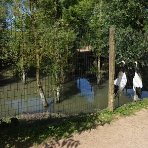 Red-crowned Crane Enclosure at Biotropica, 16/06/18