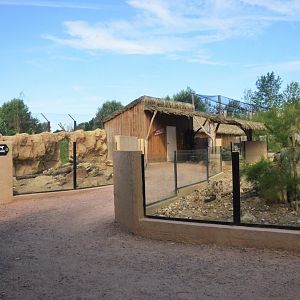 Squirrel, Porcupine and Meerkat at Biotropica, 16/06/18