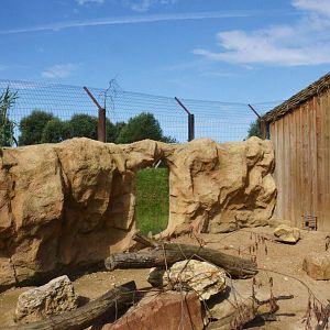 Cape Ground Squirrel and Cape Crested Porcupine Enclosure at Biotropica, 16/06/18