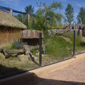 Dwarf Mongoose Enclosure at Biotropica, 16/06/18