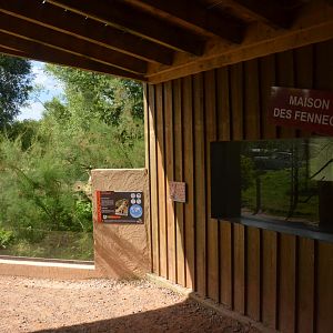 Fennec Fox Viewing at Biotropica, 16/06/18