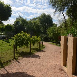 Cheetah and Fennec Fox Viewing at Biotropica, 16/06/18