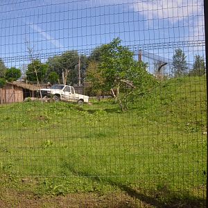Northern Cheetah Enclosure at Biotropica, 16/06/18