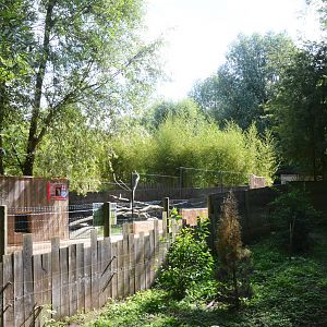 View of Asian Area at Biotropica, 16/06/18