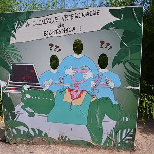 Accurate Representation of Veterinary Science at Biotropica, 16/06/18