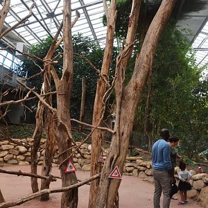 Lorikeet and Galah Walkthrough at Biotropica, 16/06/18