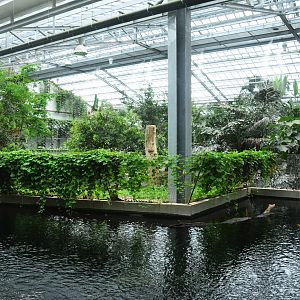 General View of Greenhouse over the Freshwater Aquarium at Biotropica, 16/06/18