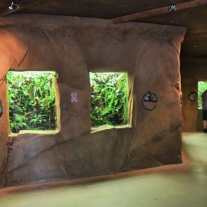 Vivaria at Biotropica, 16/06/18