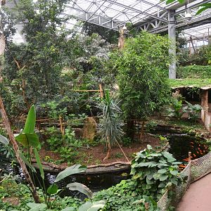 Marmoset Island at Biotropica, 16/06/18