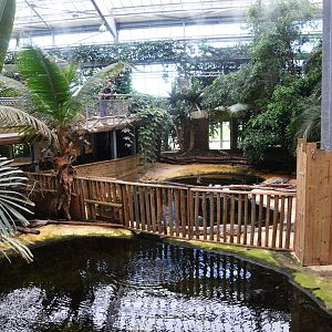 Slender-snouted Crocodile Enclosures at Biotropica, 16/06/18