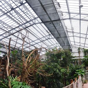 General View of Greenhouse at Biotropica, 16/06/18