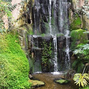 Waterfall/Alligator Snapping Turtle Enclosure at Biotropica, 16/06/18