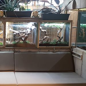 Invertebrate-enclosures
