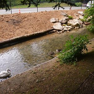 Waterfowl Enclosures at Edge of Park at Clères, 16/06/18