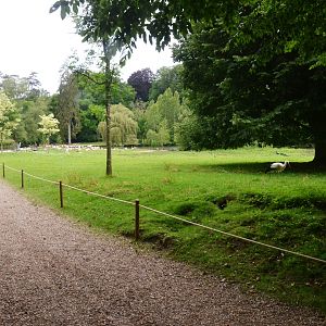 Parkland View with White Stork at Clères, 16/06/18