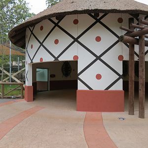 Zambezi River Hippo Camp - Mandrill Exhibit Viewing Shelter