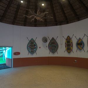 Zambezi River Hippo Camp - Mandrill Exhibit Viewing Shelter