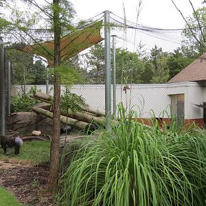 Zambezi River Hippo Camp - Mandrill Exhibit