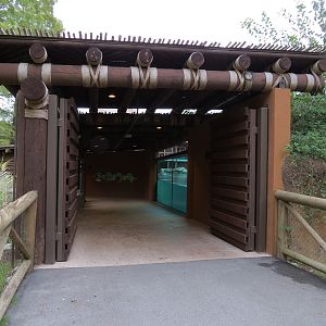 Zambezi River Hippo Camp - Hippopotamus Exhibit Viewing Area
