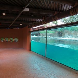 Zambezi River Hippo Camp - Hippopotamus Exhibit Viewing Area