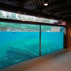 Zambezi River Hippo Camp - Hippopotamus Exhibit Viewing Area