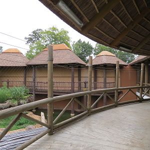 Zambezi River Hippo Camp - Nile Crocodile Exhibit Viewing Area