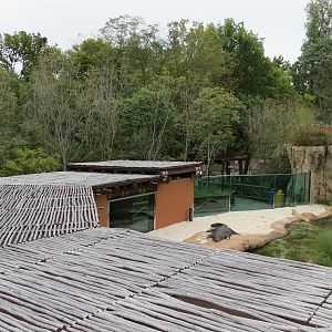 Zambezi River Hippo Camp - Nile Crocodile Exhibit