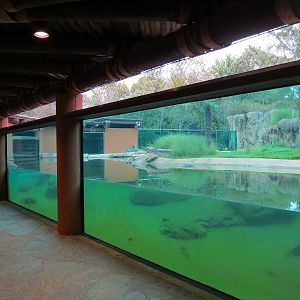 Zambezi River Hippo Camp - Nile Crocodile Exhibit Viewing Area