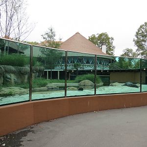 Zambezi River Hippo Camp - Nile Crocodile Exhibit Viewing Area