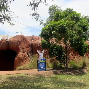 Bilby Cave