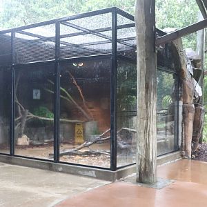 Quoll Enclosure