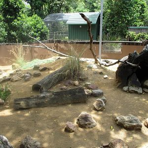 Goanna Enclosure