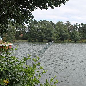 Black swan enclosure.