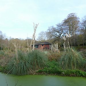 Ape House, November 2018