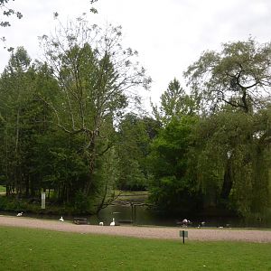 Lemur Islands at Clères, 16/06/18