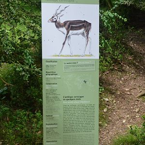 Signage Example at Clères, 16/06/18