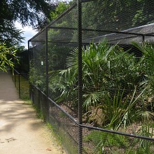 Aviaries at Clères, 16/06/18