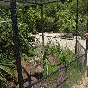 Red-legged Seriema Enclosure at Clères, 16/06/18