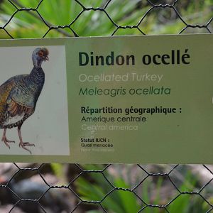 Signage Example at Clères, 16/06/18
