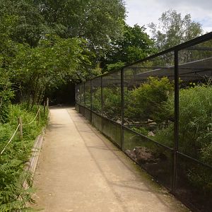 Aviaries at Clères, 16/06/18